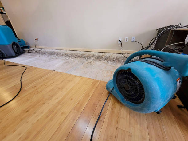 Professional Water Damage Repair technician working in Concord, MI